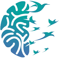 trauma informed resilience coach training